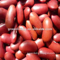 British red kidney beans from Dalian,china(180-260pcs/100g)